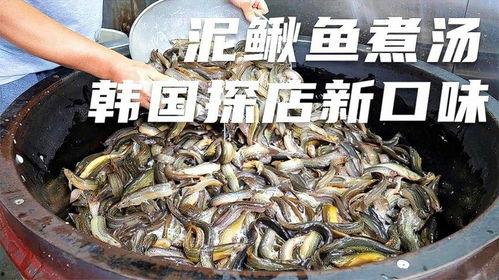 泥鳅鱼吃瓜吗,奇特的饮食习惯，竟然也吃瓜？