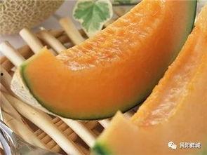 吃瓜吃成哈密瓜的那个梗,笑料横生成梗传奇