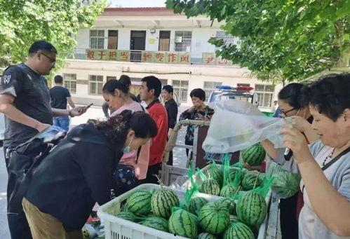 桃树村吃瓜群众,揭秘乡村生活百态